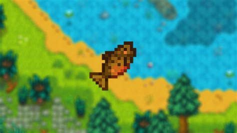 trucha tigre stardew valley.